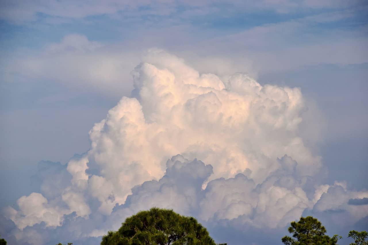 A tall summer thunderhead building over the treeline.